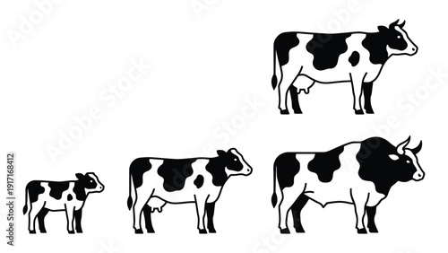 Black and White Vector Cattle Illustrations: Cow, Bull, and Calf Farm Animals