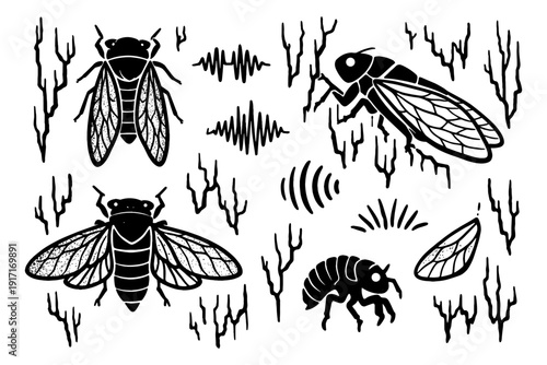 Cicadas and sound waves: black and white insect illustration