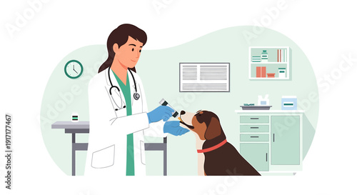 Veterinarian examines a dog in a clinic examination room.