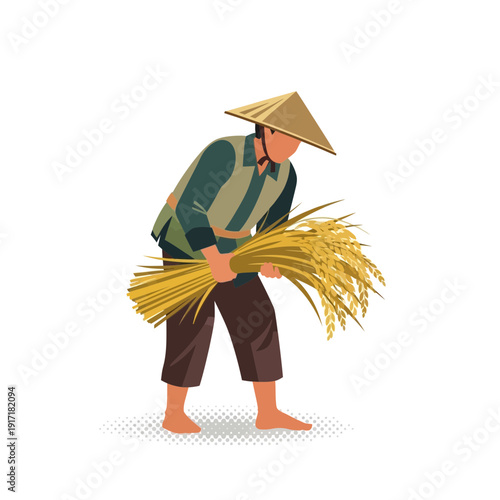 Asian farmer harvesting rice, wearing conical hat, carrying wheat sheaves