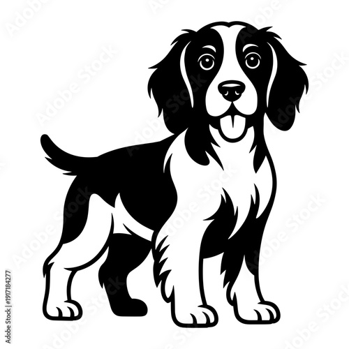 Welsh Springer Spaniel Dog