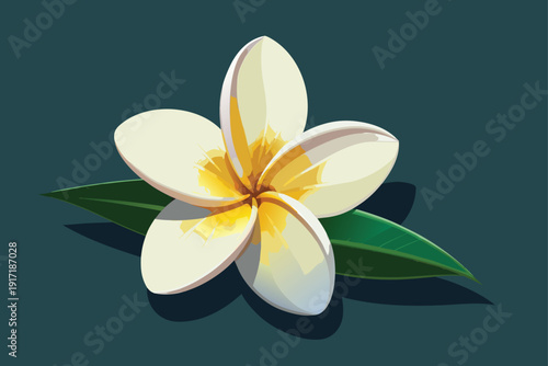 Elegant frangipani flower vector illustration on white, perfect for creating beautiful and serene designs.