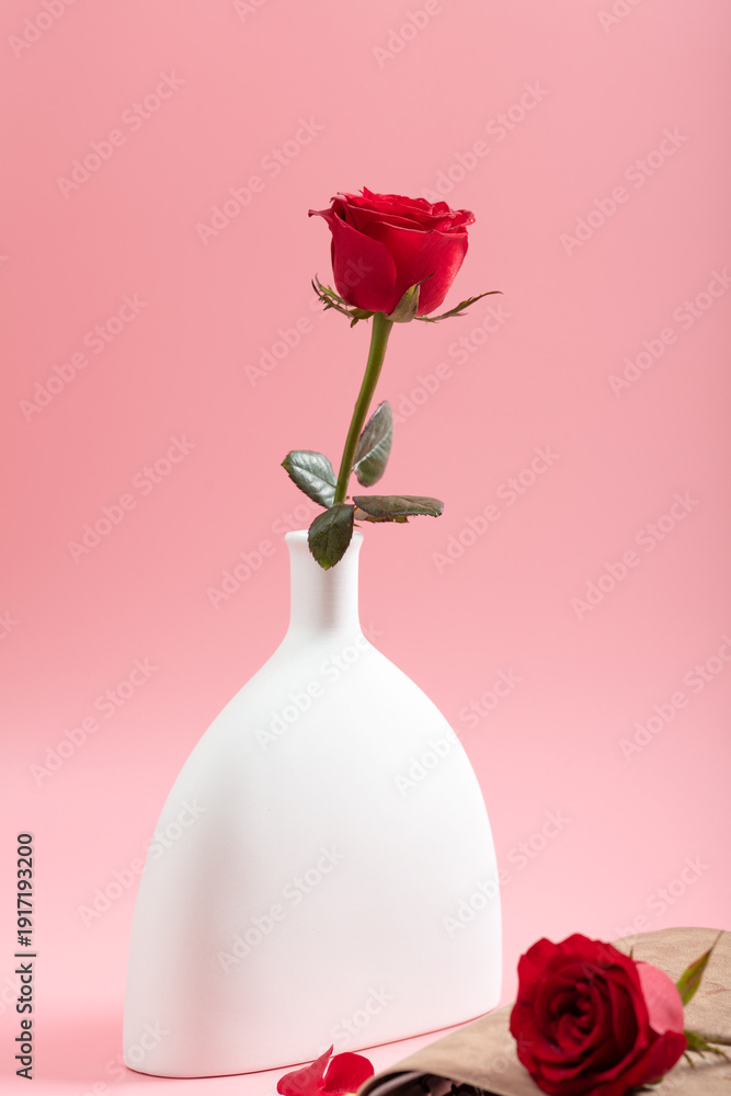 Fototapeta premium Red roses in a white vase on a pink background