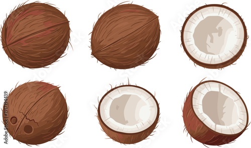 Coconut collection showing whole and cracked tropical fruits isolated on white background for food illustration designs