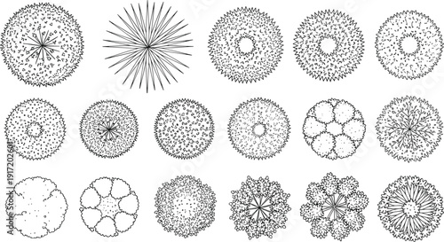 Collection of abstract circular symmetrical patterns resembling botanical, biological, and microscopic structures, showcasing intricate floral design