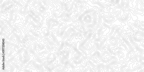 Gray Topographic Contour Lines Pattern On White Background For Desing