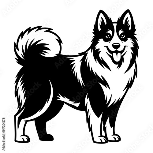 Icelandic Sheepdog