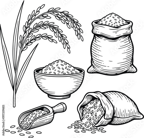 Hand Drawn Rice Grain Bowl Sack and Paddy Plant Illustration Set.