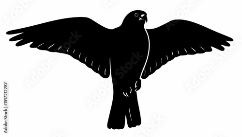 Majestic bird with wings spread wide in mid flight