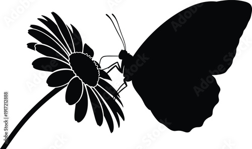 Black Silhouette of a Large Butterfly Pollinating a Daisy Flower, Minimalist Vector Illustration for Nature, Summer, Spring, and Garden Designs