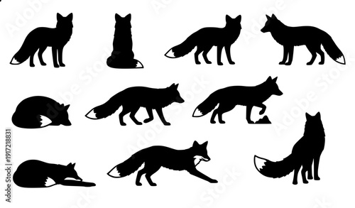 Set of nine black fox poses running sitting howling vector illustration flat design