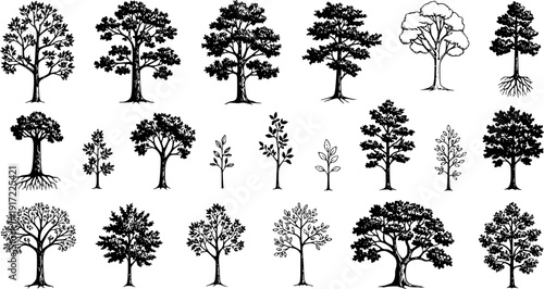 Detailed set of hand-drawn tree sketches, various botanical illustrations, silhouettes, and outlines of different types of trees and saplings, representing nature and forest elements.