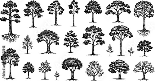 Collection of hand-drawn trees and saplings in vintage engraving style. Detailed black and white botanical sketches, perfect for nature and forest-themed design elements.