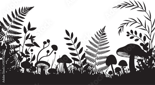 Black and white forest scene with ferns and mushrooms