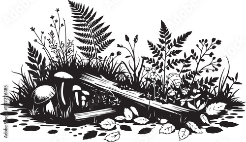 Black and white forest scene with mushrooms and fallen log