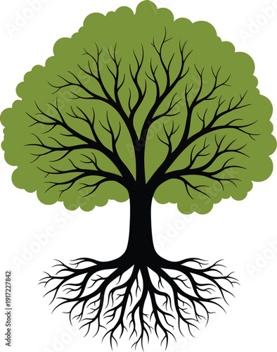 A detailed illustration depicts a mature deciduous tree with a dense green canopy and an intricate, exposed network of dark roots.