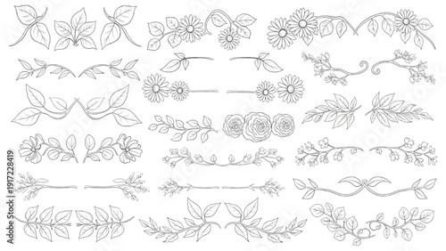 Collection of decorative floral and leaf line art elements for design and decoration