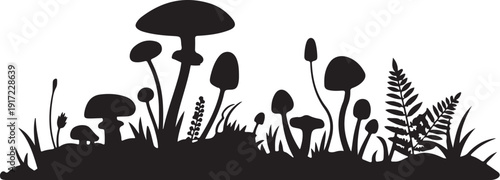 Black and white mushroom and fern forest mushrooms