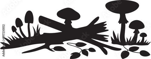 Black and white of mushrooms and branches nature