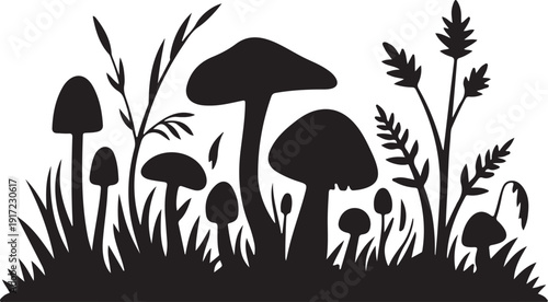 Black and white of mushrooms and plants nature