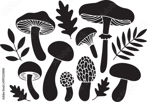 Black and white of various mushrooms and leaves nature