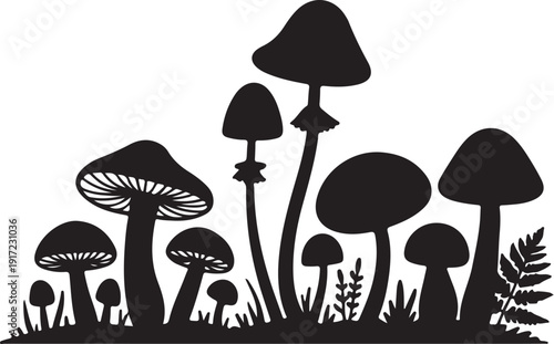 Black and white of various mushrooms and plants fungi