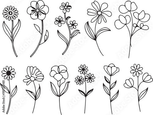 Six minimalist black and white line art illustrations depict various flowers, leaves, and plant stems, presented as an asset within an Adobe Stock upload interface.