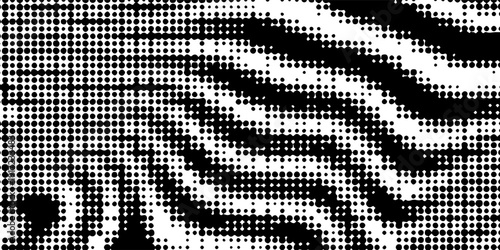 Abstract Black and White Halftone Op Art Background with Wavy Zebra Distortion Pattern. Suit for banner, web, brochure, pamflet and presentation