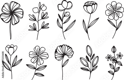 Six minimalist black and white line art illustrations depict various flowers, leaves, and plant stems, presented as an asset within an Adobe Stock upload interface.