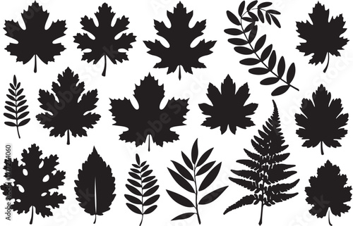 Six minimalist black and white line art illustrations depict various flowers, leaves, and plant stems, presented as an asset within an Adobe Stock upload interface.
