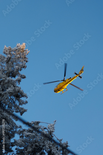Принти на полотні Helicopter flies over frosty trees on a clear day in a mountainous landscape dur