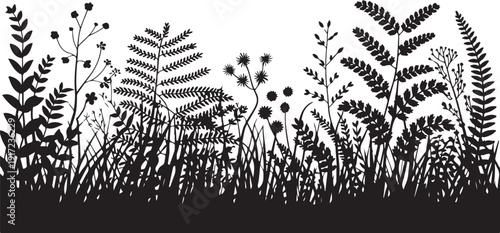 Black and white silhouette of various plants and flowers