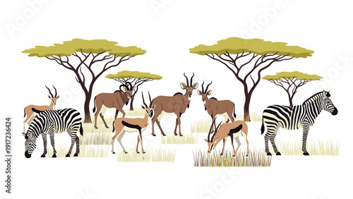 Digital illustration of zebras and antelopes grazing under acacia trees in a savannah with a white background.
