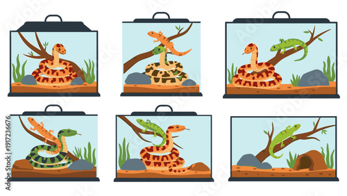 Six identical glass terrariums with reptiles and tropical plants on a white background in a product display.