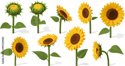 sunflower stem plant bouquet