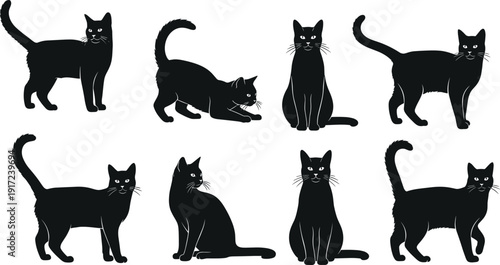 Black cat silhouettes collection, different poses and playful actions isolated on white background, domestic feline illustration set