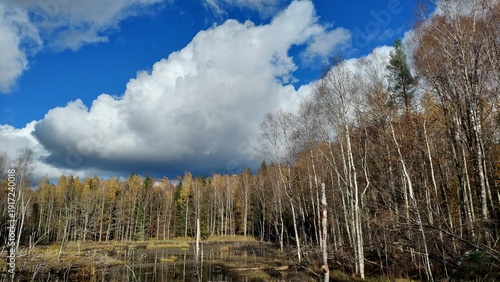 Tableau sur toile Autumn in Krasnolesye