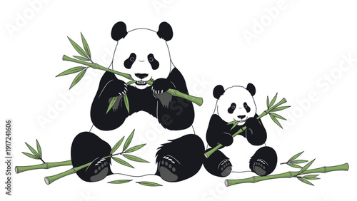 Two pandas sitting and eating bamboo shoots on a plain white background with a playful mood.