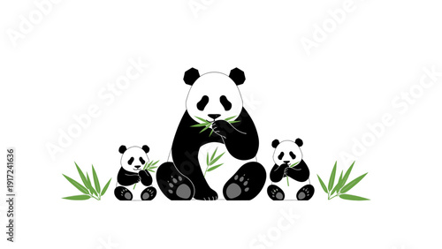 Illustration of a giant panda and two cubs sitting with green bamboo shoots on a white background with grass.