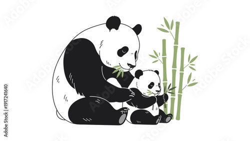 An illustration of an adult panda and a cub sitting together beside bamboo stalks on a white background.