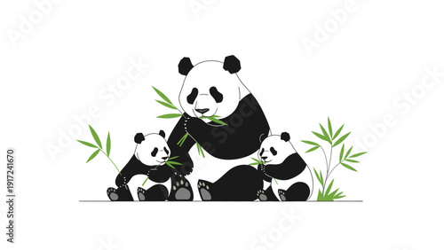 Illustration of a large panda and two smaller pandas eating bamboo shoots with green leaves on a white background.