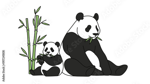 Illustration of a giant panda and a cub sitting with bamboo stalks on a white background.