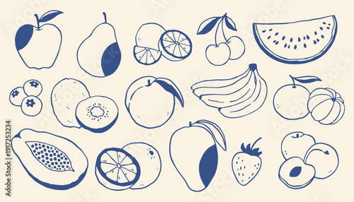 Hand drawn fruit vector illustration set with apples, bananas, citrus, berries and tropical fruits. Minimal blue line art food collection for packaging, branding, menus and healthy design