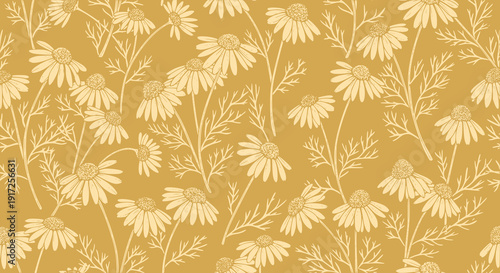 Chamomile Floral Background Pattern Vector, Hand Drawn Organic Sketch Drawing, Vintage Botanical Daisy Tea Plant Illustration, Herbal Repeatable Garden Flower Line Art Texture
