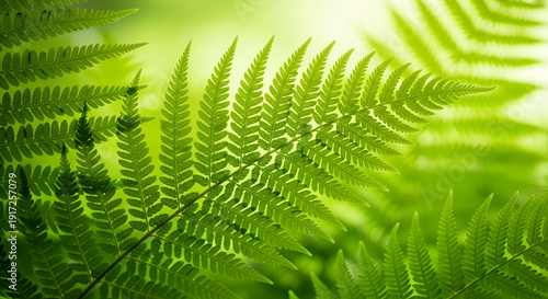 Wallpaper Mural Delicate ferns in a lush forest, captured from a low angle, showcasing their vibrant green foliage and intricate texture in a natural setting Torontodigital.ca