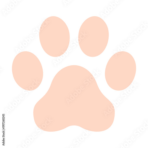 paw