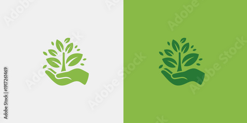 A hand holding a green plant on a split background of white and green 2