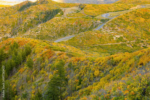 Mesa Verde, geology, erosion, Mancos Shale, ridges, high desert, Colorado, plateau, Southwest, scrubland, geological formations, terrain.