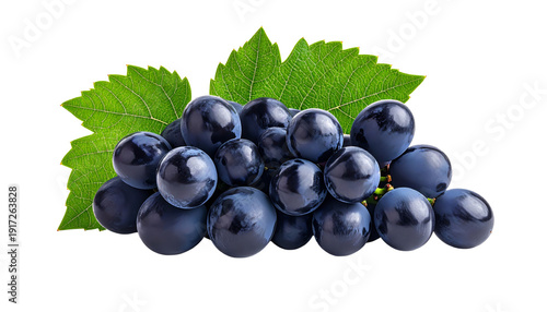 Fresh bunch of ripe black grapes isolated on white background