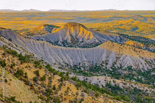 A detailed view of the unique geological erosion and grayish-tan ridges characteristic of the Mancos Shale layers within Mesa Verde National Park.